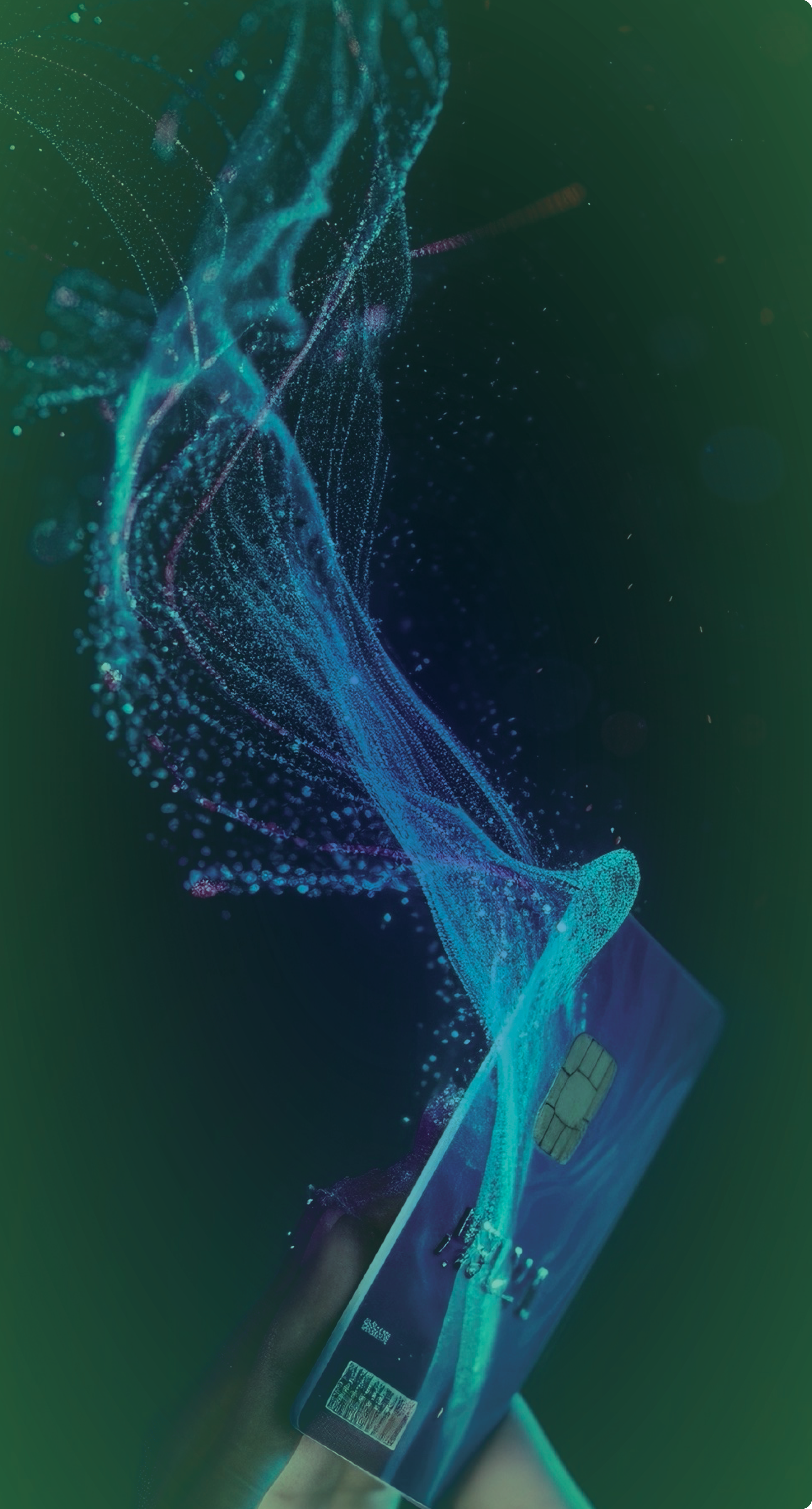 Image for PCI webpage