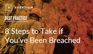 Steps to Take if You've Been Breached